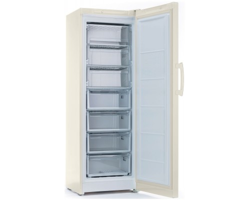 Морозильная камера Indesit DSZ 5175 E