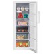 Морозильная камера Beko RFSK215T01W