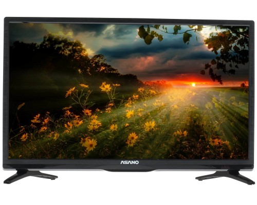 Телевизор Asano 24LH1020T