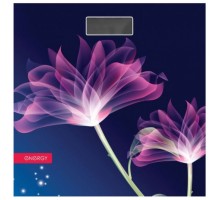 Весы напольные Energy En-419G